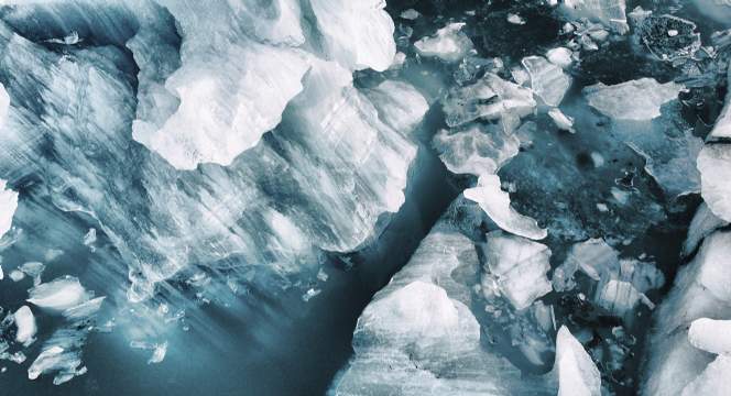 Savills Earth